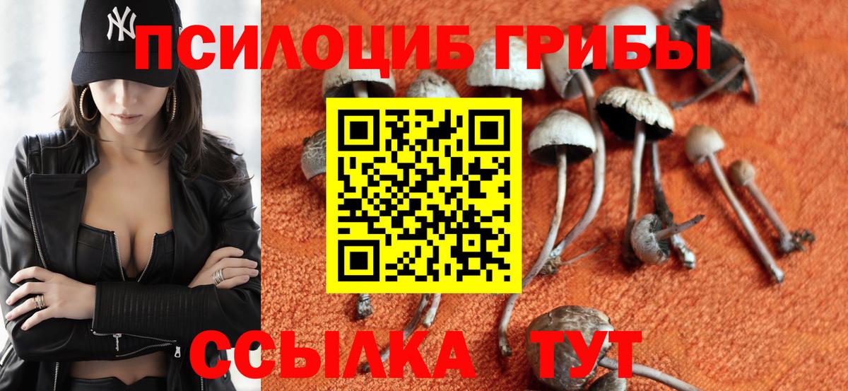 Галлюциногенные грибы Magic Shrooms Курган