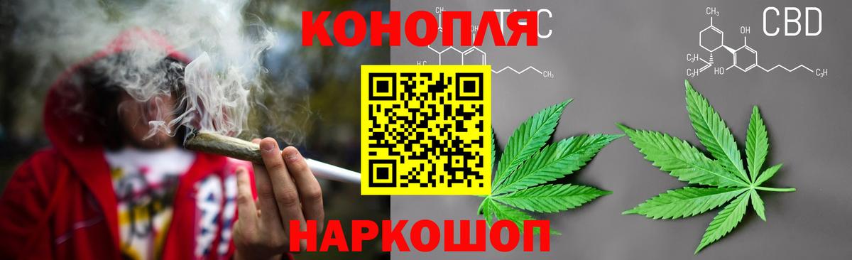 Конопля семена Курган